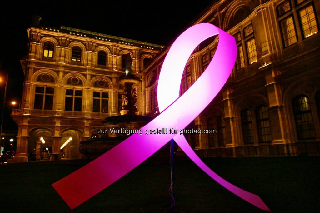 Internationaler Brustkrebstag 1.10. Österreichische Krebshilfe: Pink Ribbon Night 2014 (01.10.2014) 