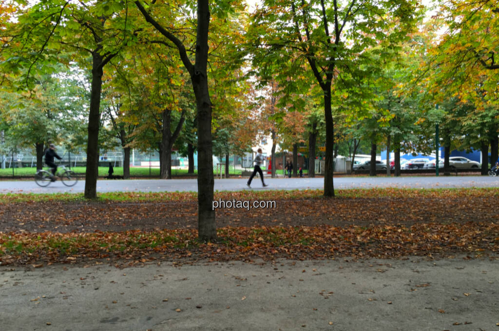 Hauptallee, Herbst, Sport (14.10.2014) 