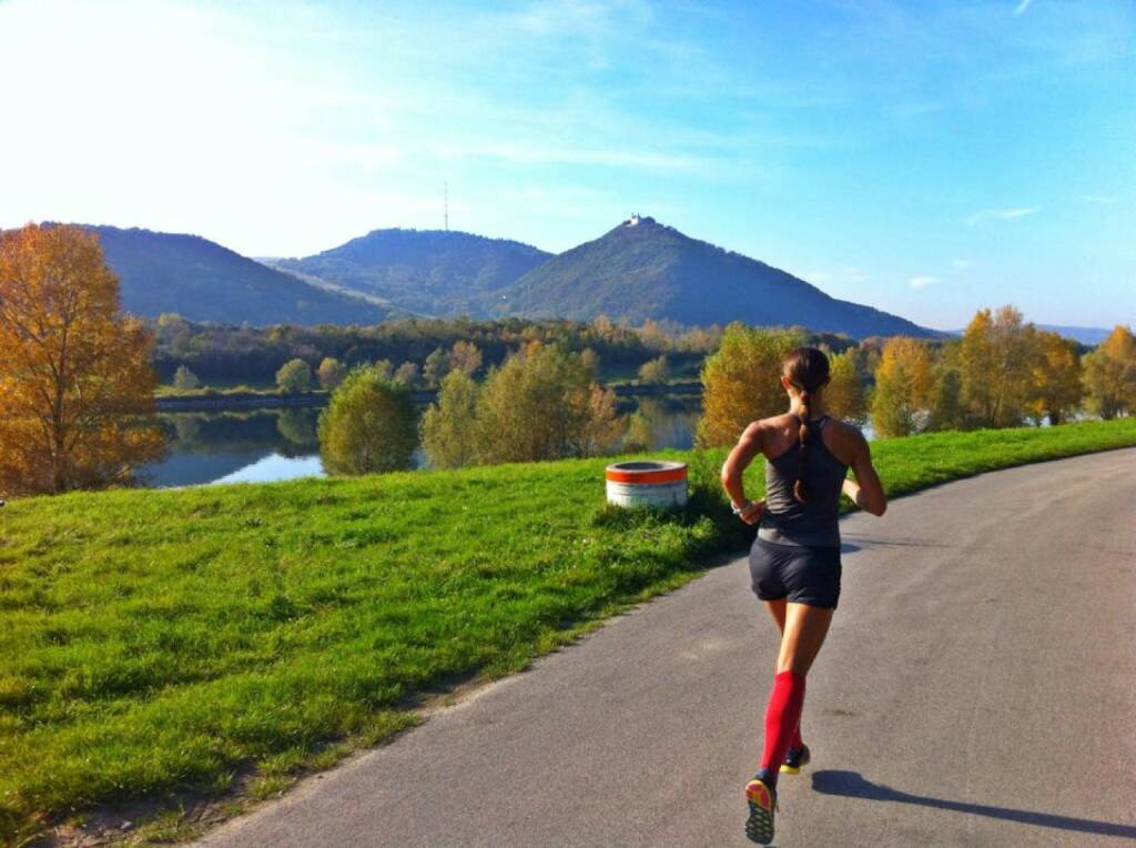 Ausblick: Kahlenberg im Blick, Donauinsel, trainiert für den NY-Marathon  https://www.facebook.com/, © Diverse  (20.10.2014) 