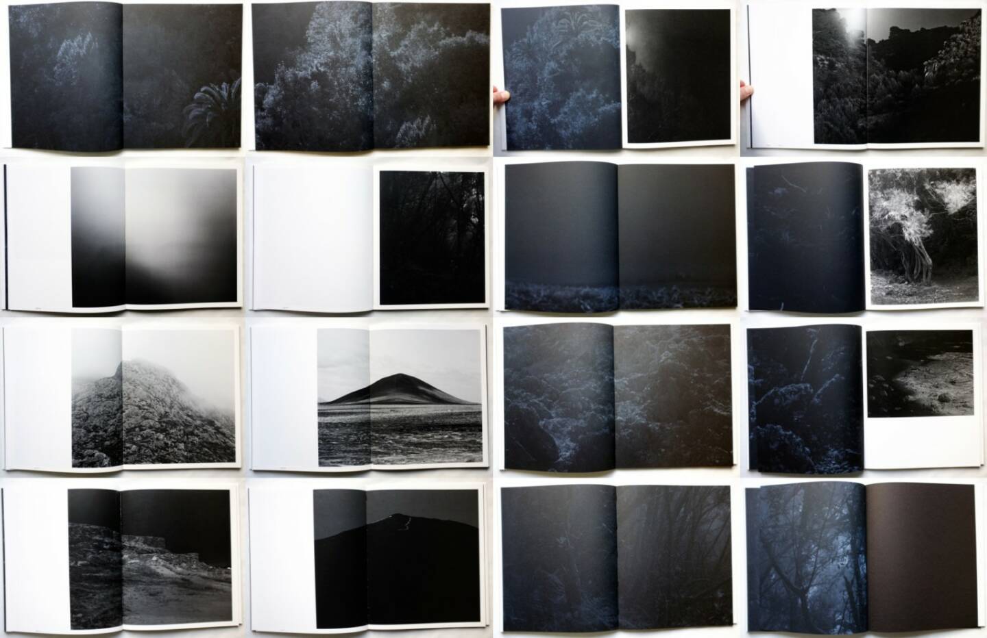 Awoiska van der Molen - Sequester, Fw: Books 2014, Beispielseiten, sample spreads - http://josefchladek.com/book/awoiska_van_der_molen_-_sequester