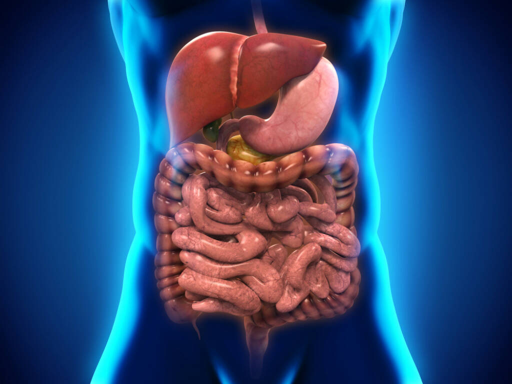 Darm, Innereien, Eingeweide, Verdauung, http://www.shutterstock.com/de/pic-193293677/stock-photo-human-digestive-system.html, © www.shutterstock.com (06.11.2014) 