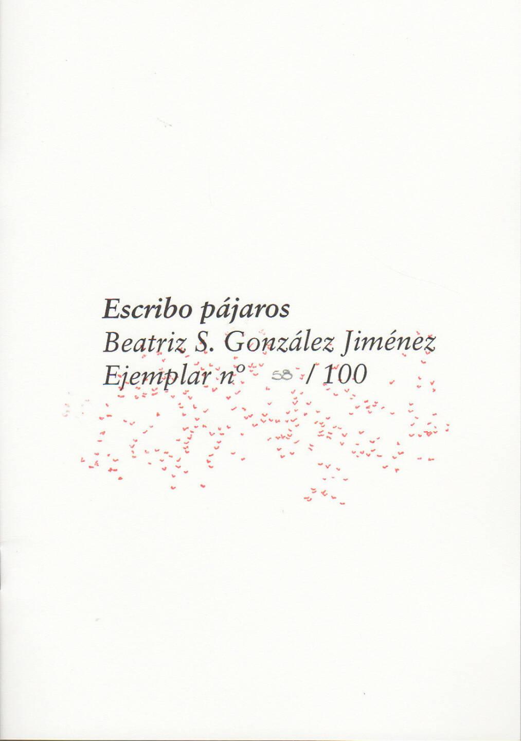 Beatriz S. González Jiménez - Escribo pájaros, Self published 2014, Cover - http://josefchladek.com/book/beatriz_s_gonzalez_jimenez_-_escribo_pajaros