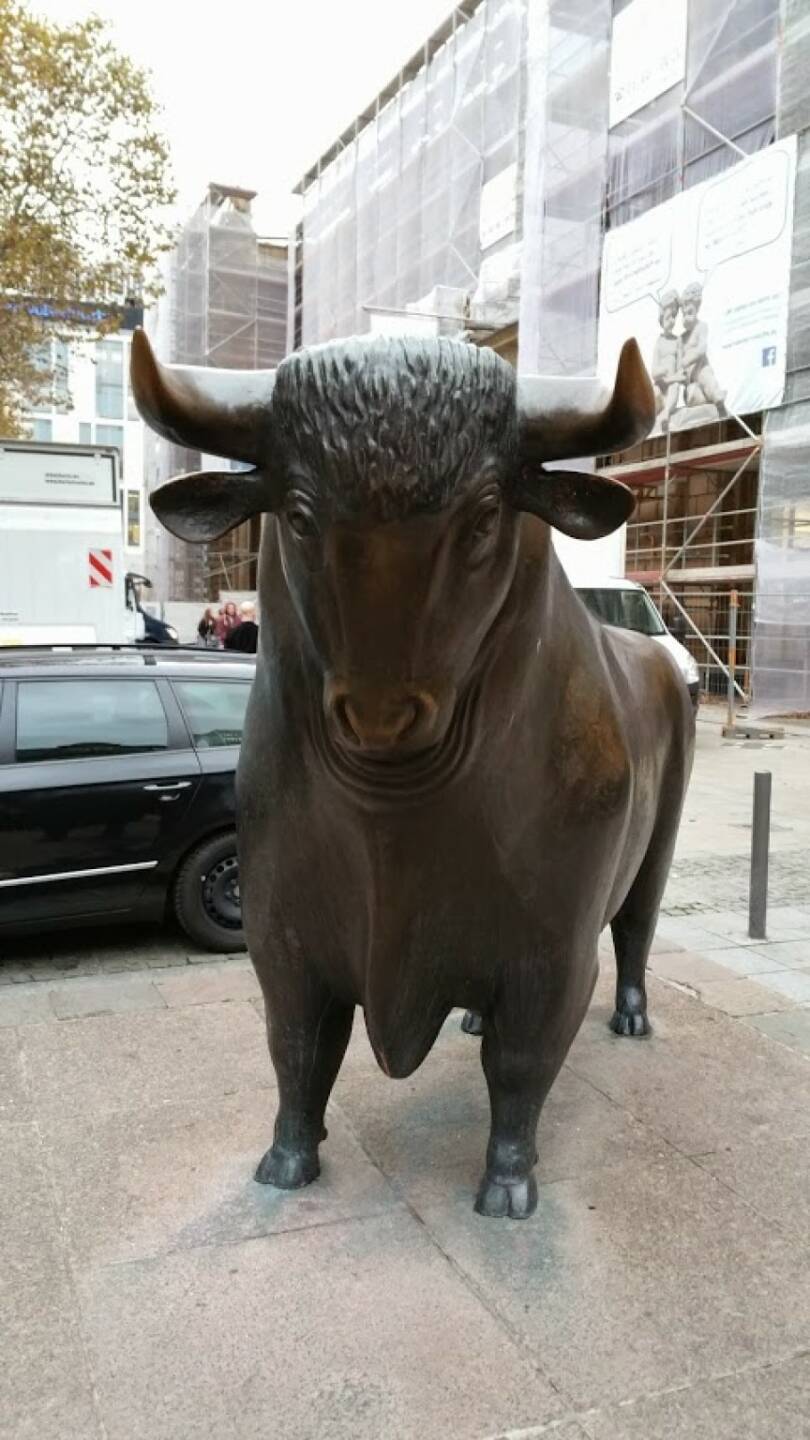 Bulle Frankfurt