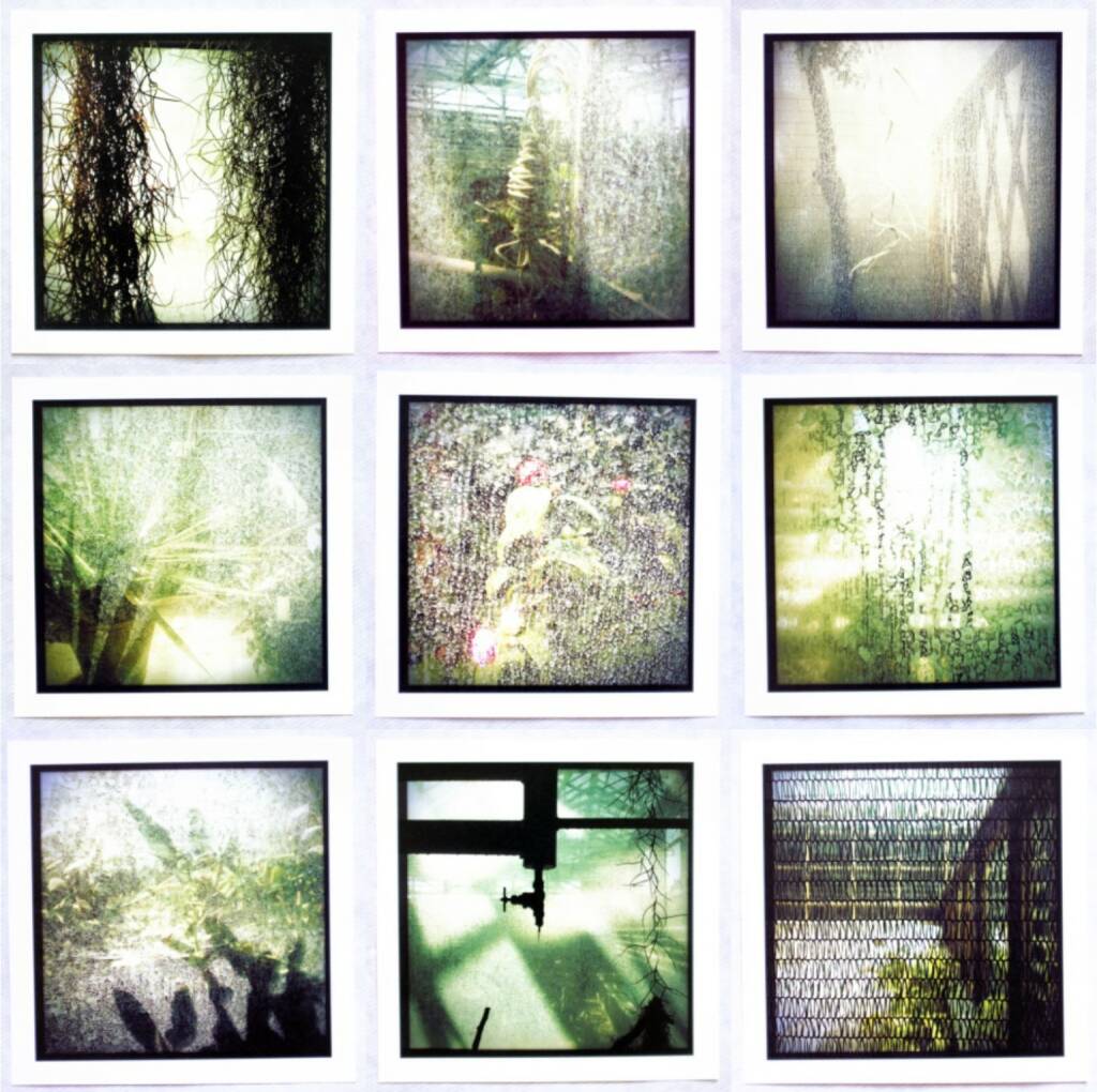 Gera Artemova - botanic garden, Self published 2014, Beispielseiten, sample spreads - http://josefchladek.com/book/gera_artemova_-_botanic_garden, © (c) josefchladek.com (26.11.2014)