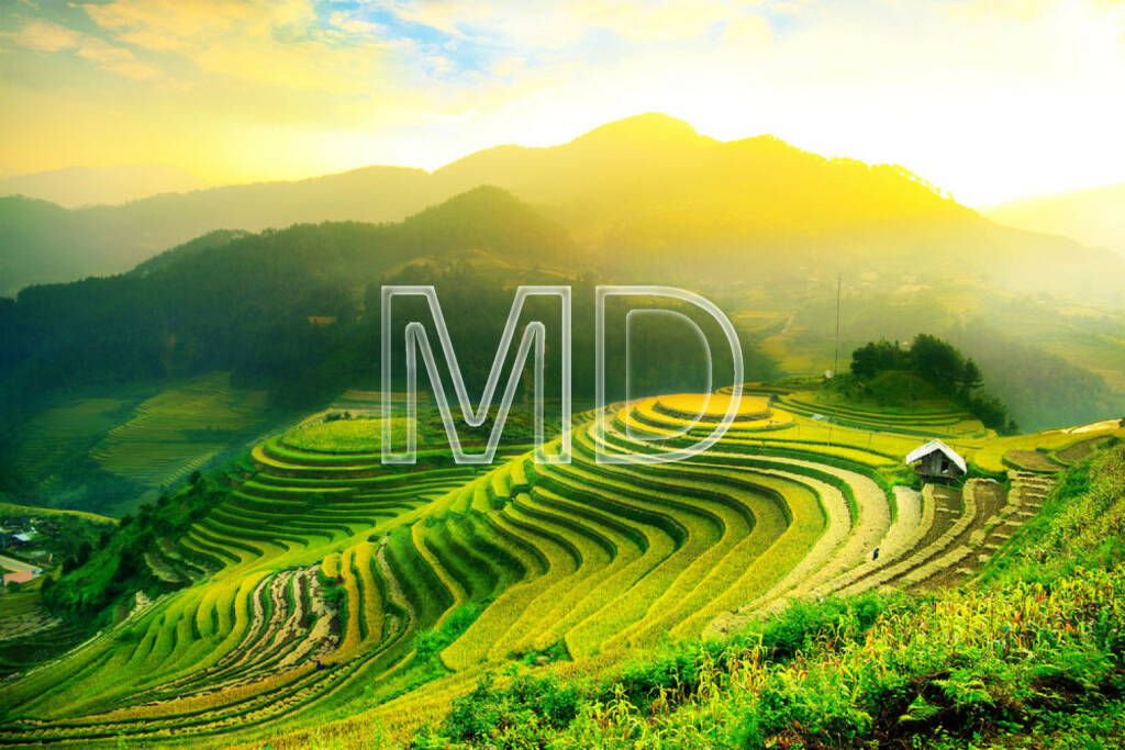 Reisfeld, Reisterrasse, Vietnam, Boden, Erde, Landwirtschaft, http://www.shutterstock.com/de/pic-176408066/stock-photo-rice-fields-on-terraced-of-mu-cang-chai-yenbai-vietnam-rice-fields-prepare-the-harvest-at.html, © teilweise www.shutterstock.com (03.12.2014) 