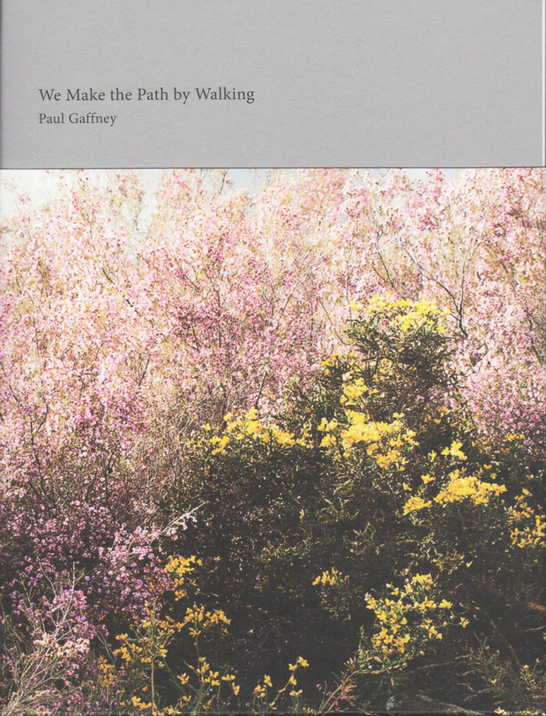 Paul Gaffney - We Make the Path by Walking (2013), 200-250 Euro, http://josefchladek.com/book/paul_gaffney_-_we_make_the_path_by_walking