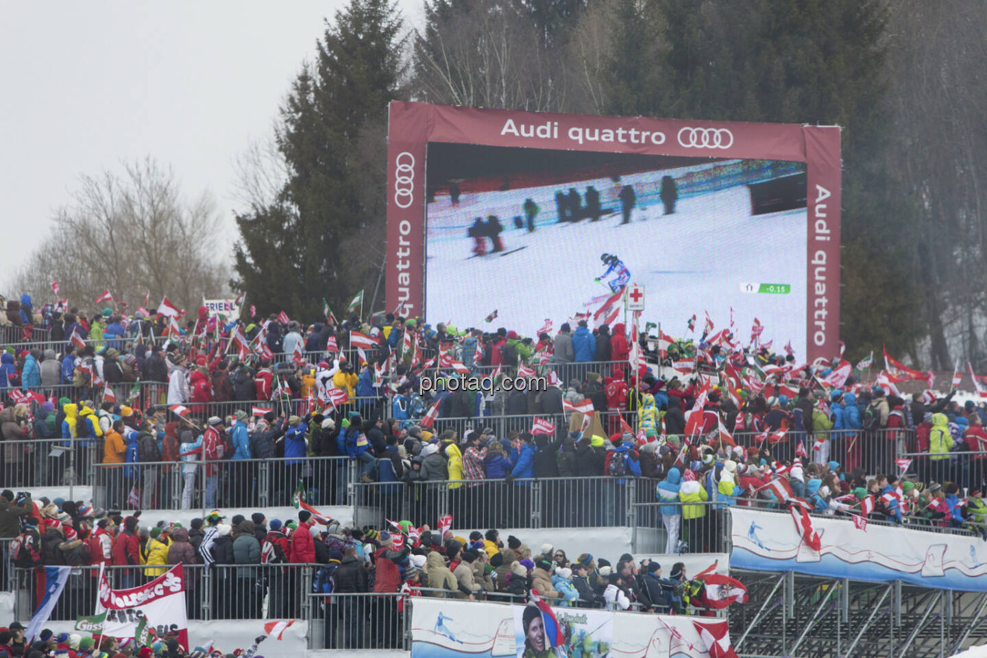 Elisabeth Görgl, Alpine Ski WM 2013, Schladming