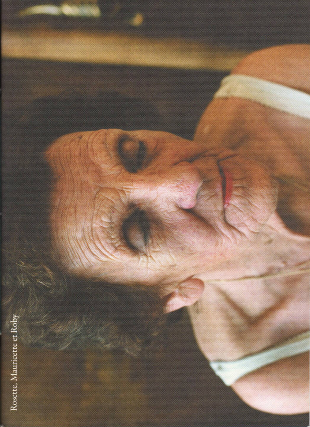Zoé Beausire - Rosette, Mauricette et Roby, Kominek 2012, Cover - http://josefchladek.com/book/zoe_beausire_-_rosette_mauricette_et_roby