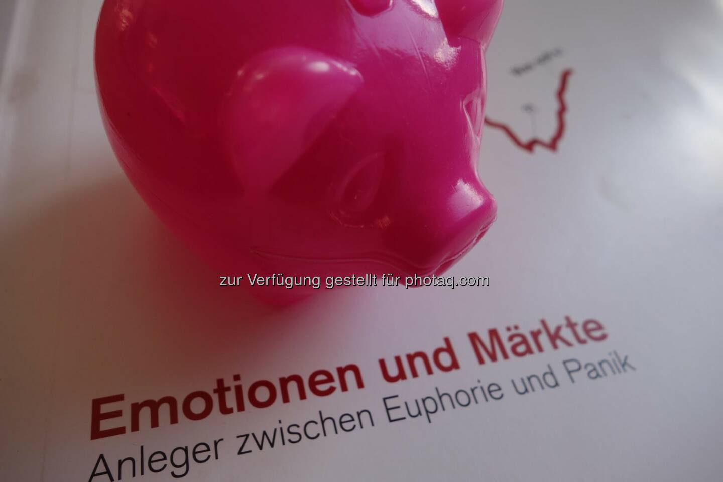 Schweine im Schnee oder die neue Eiszeit der Sparer