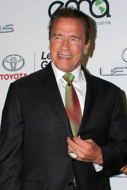 Arnold Schwarzenegger, <a href=http://www.shutterstock.com/gallery-564025p1.html?cr=00&pl=edit-00>Helga Esteb</a> / <a href=http://www.shutterstock.com/editorial?cr=00&pl=edit-00>Shutterstock.com</a>, Helga Esteb / Shutterstock.com
 (08.02.2015) 