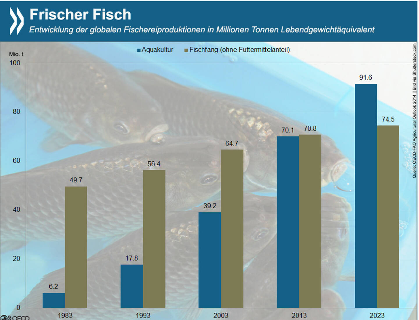 Fisch gepflückt: Seit den 80er Jahren liefert die Aquakultur nennenswerte Mengen von Fisch und Meeresfrüchten. Inzwischen stammt die Hälfte des Speisefischs weltweit aus der Zucht. Die Branche wächst schneller als die meisten anderen Nahrungsmittelsektoren.
Mehr Infos zur aktuellen Fischereiproduktion und Projektionen für die kommenden Jahre liefert: http://bit.ly/1Dyq3BB (S.193f.) ‪#‎Freitag‬ ‪#‎Fischtag