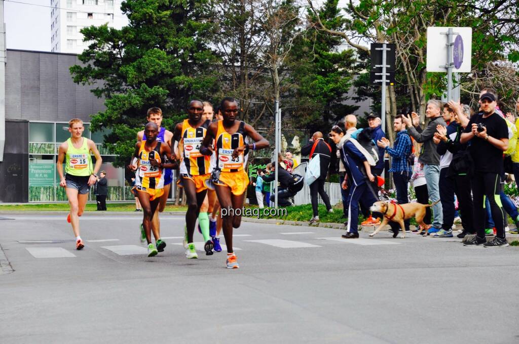 Laufen, Hauptallee, VCM 2015 (12.04.2015)