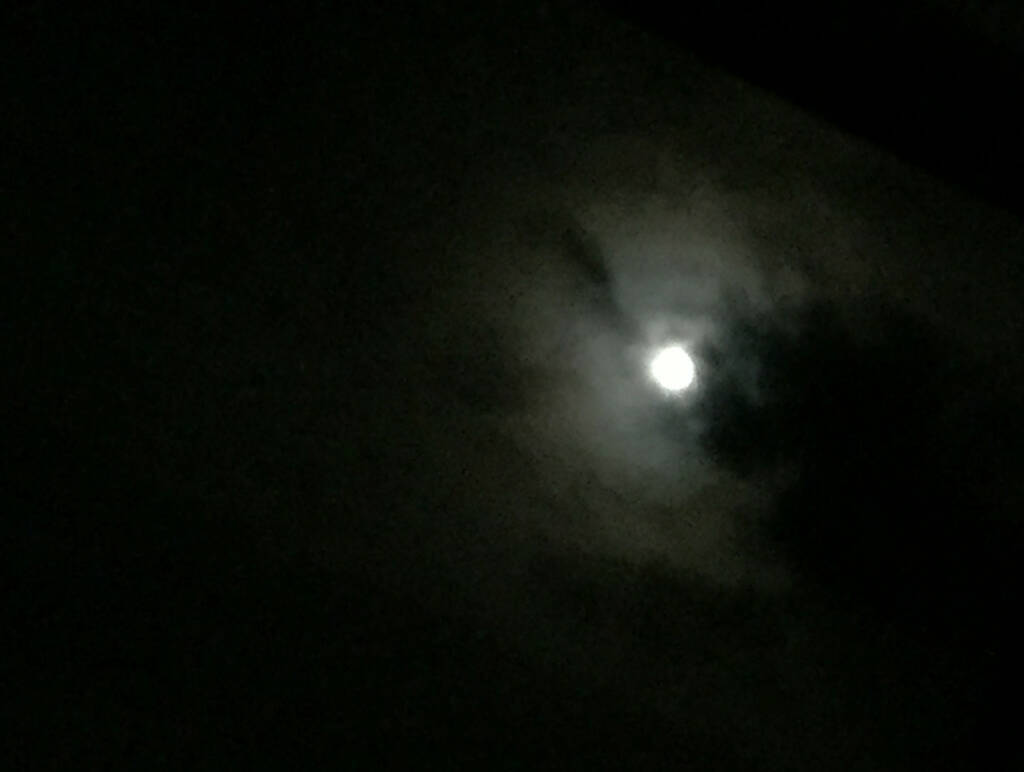 Schwarz, Vollmond (03.05.2015) 