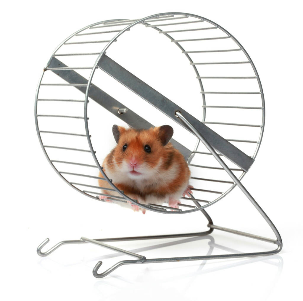 Hamster, Hamsterrad, Kleintier - http://www.shutterstock.com/de/pic-162923342/stock-photo-hamster-in-a-wheel.html, © www.shutterstock.com (17.05.2015) 