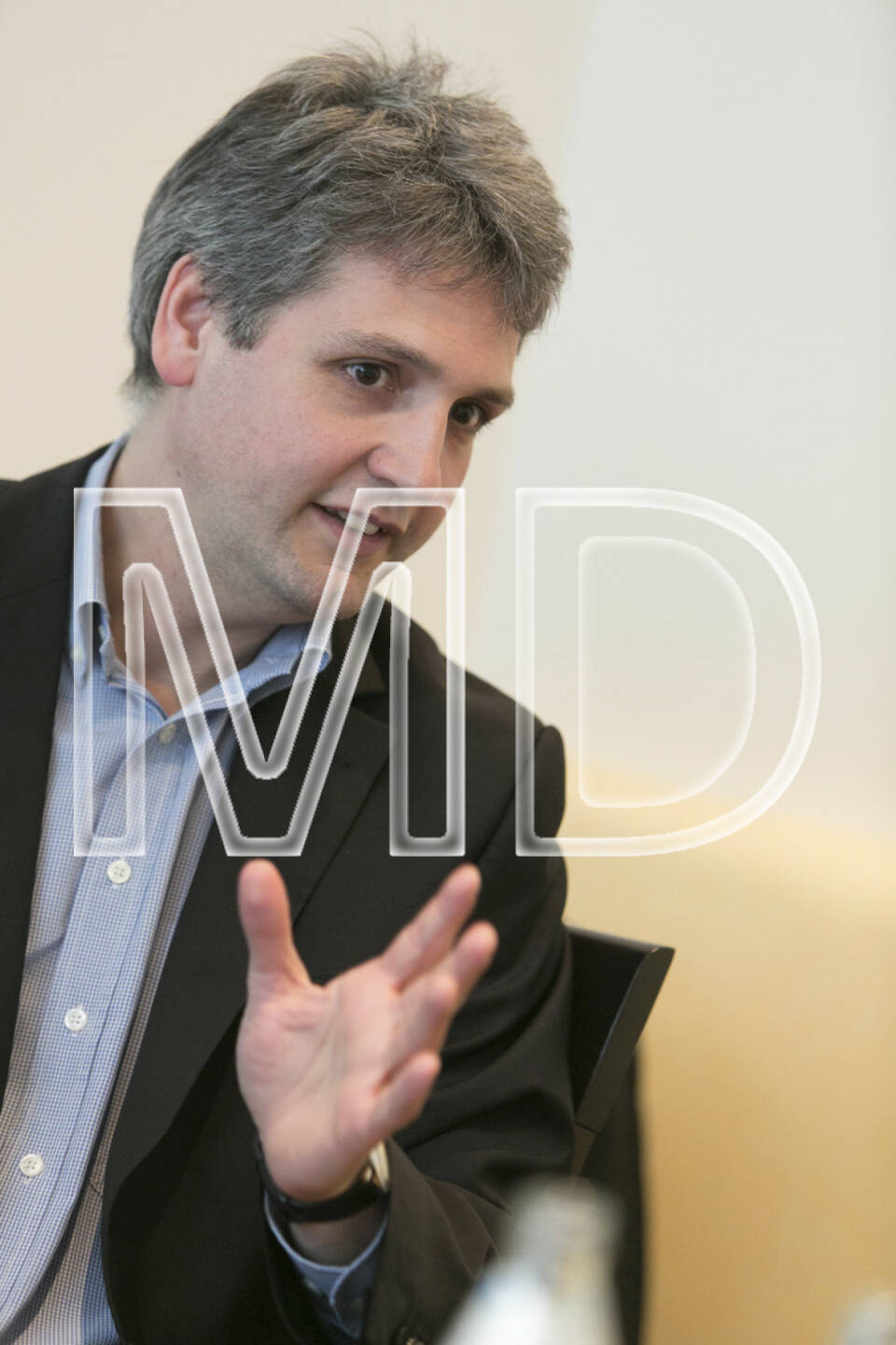 Michael Trcka (CFO WEB WIndenergie)