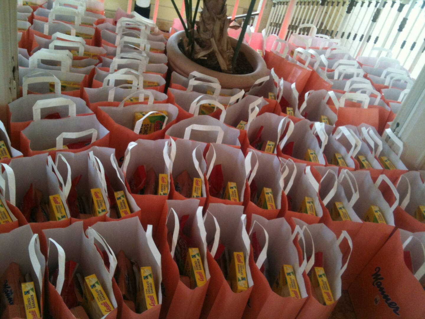 Manner HV: Manner Sackerl