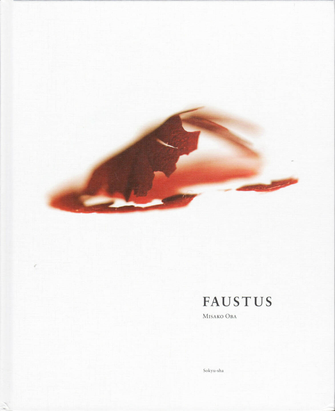 Misako Oba - Faustus, Sokyu-sha 2014, Cover - http://josefchladek.com/book/misako_oba_-_faustus