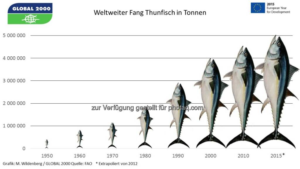 Global 2000 und Südwind: Soziales Elend und Überfischung in Thunfisch-Dosen europäischer Supermärkte, © Aussender (02.06.2015) 