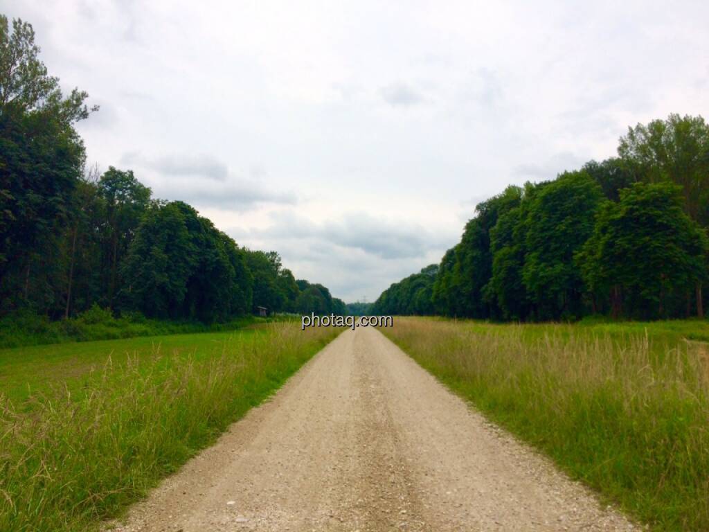 lange Gerade, Weg, endlos, © Martina Draper (19.06.2015) 