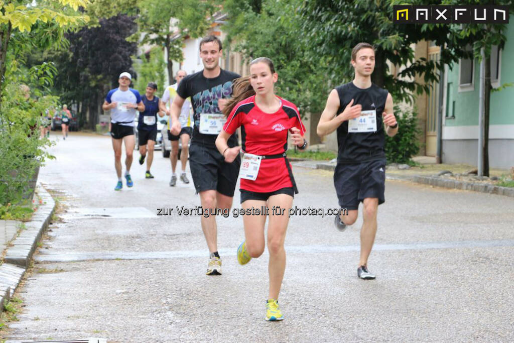 Weinlauf Gols, © MaxFun Sports (21.06.2015) 