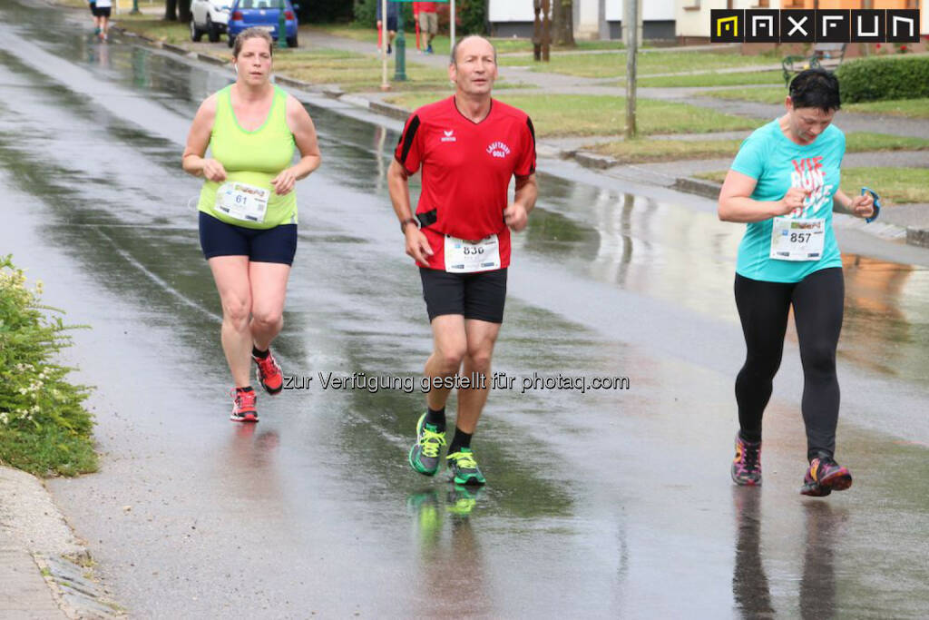 Weinlauf Gols, © MaxFun Sports (21.06.2015) 