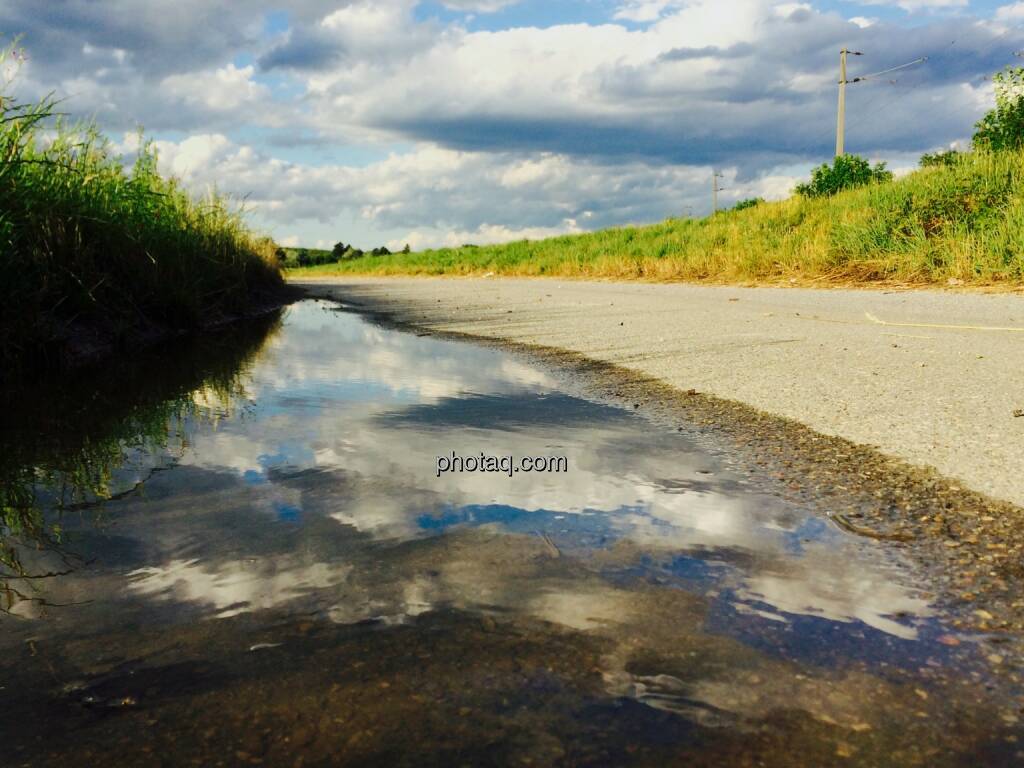 Weg, Lacke, Wasser, Spiegelung, © Martina Draper (23.06.2015) 