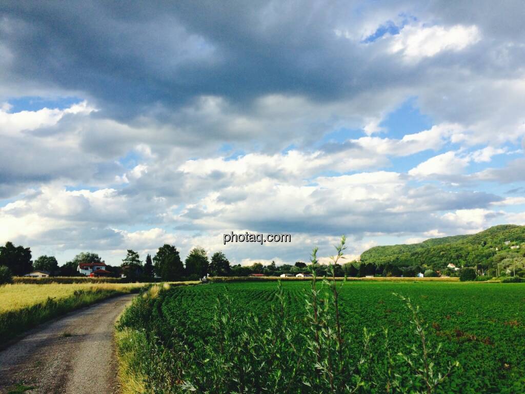 Feld, Wolken, © Martina Draper (23.06.2015) 