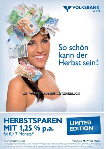 Volksbank WIen (09.03.2013) 
