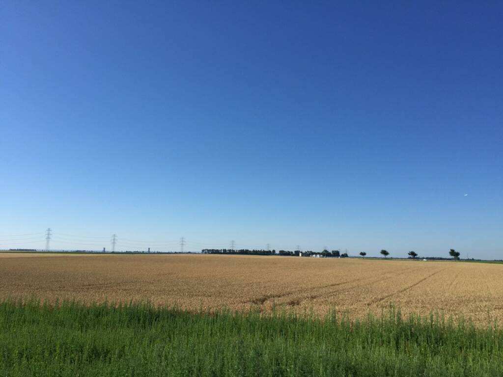 Marchfeld, flach (12.07.2015) 