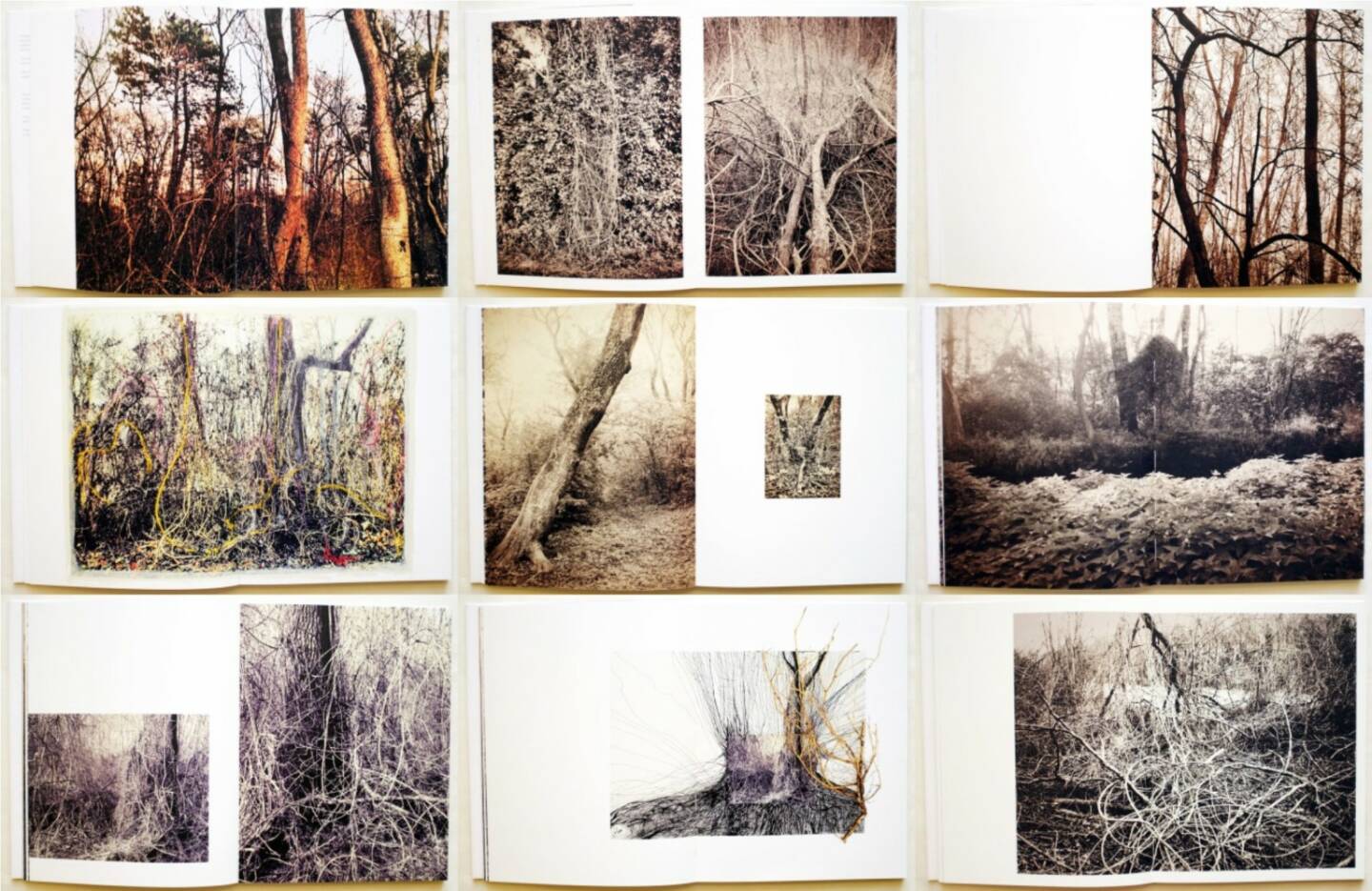 Regina Anzenberger - Roots & Bonds, AnzenbergerEdition 2015, Beispielseiten, sample spreads - http://josefchladek.com/book/regina_anzenberger_-_roots_bonds