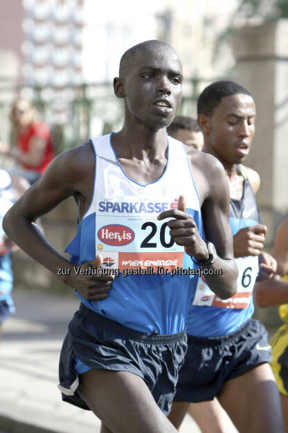 VCM: Jafred Chirchir Kipchumba ist 2009 in Wien sein Debüt gelaufen und hat sich seither auf hervorragende 2:05:48 Stunden gesteigert (c) Sailer (12.03.2013) 