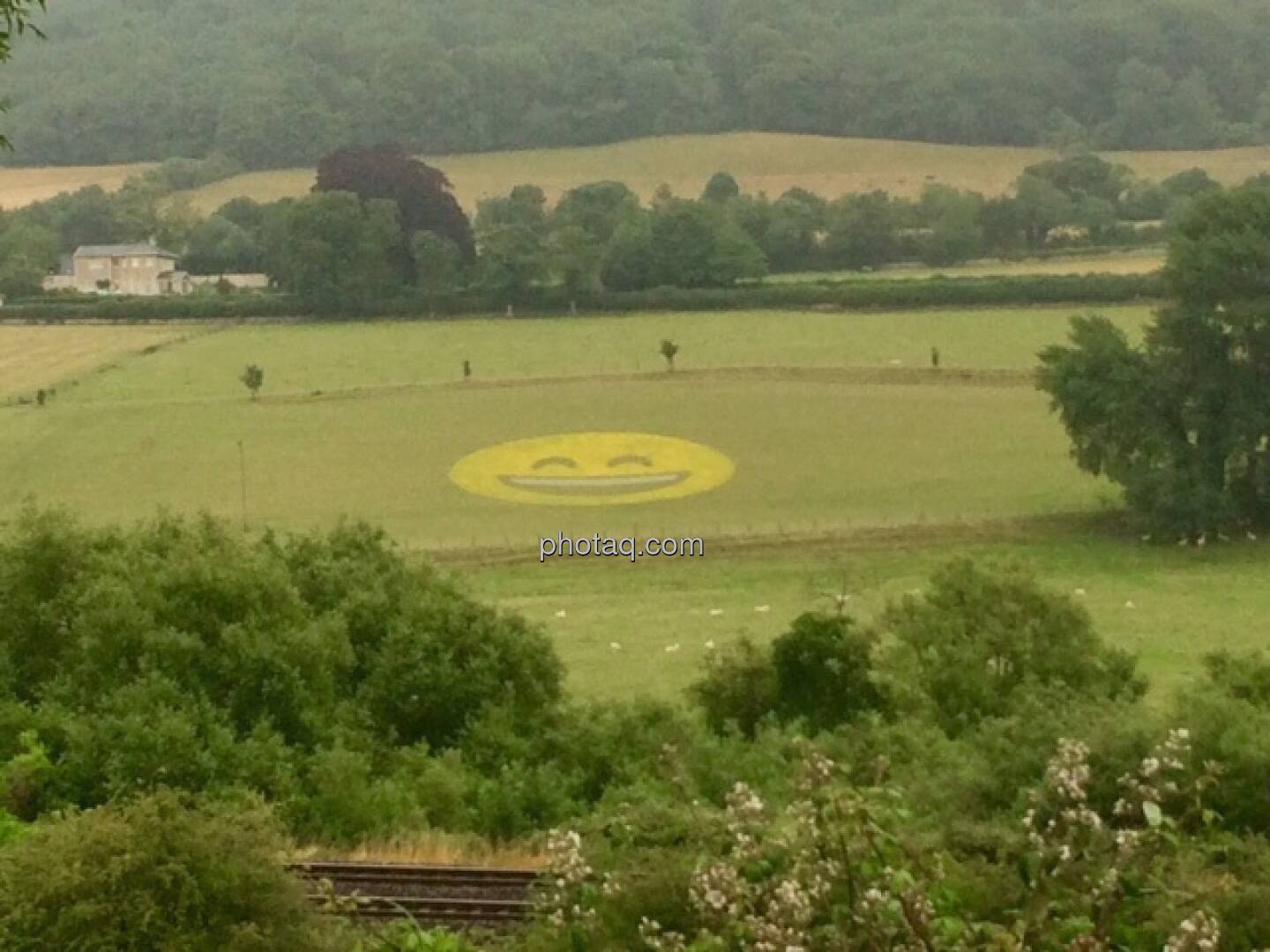 Smeil im Feld, Bath, England