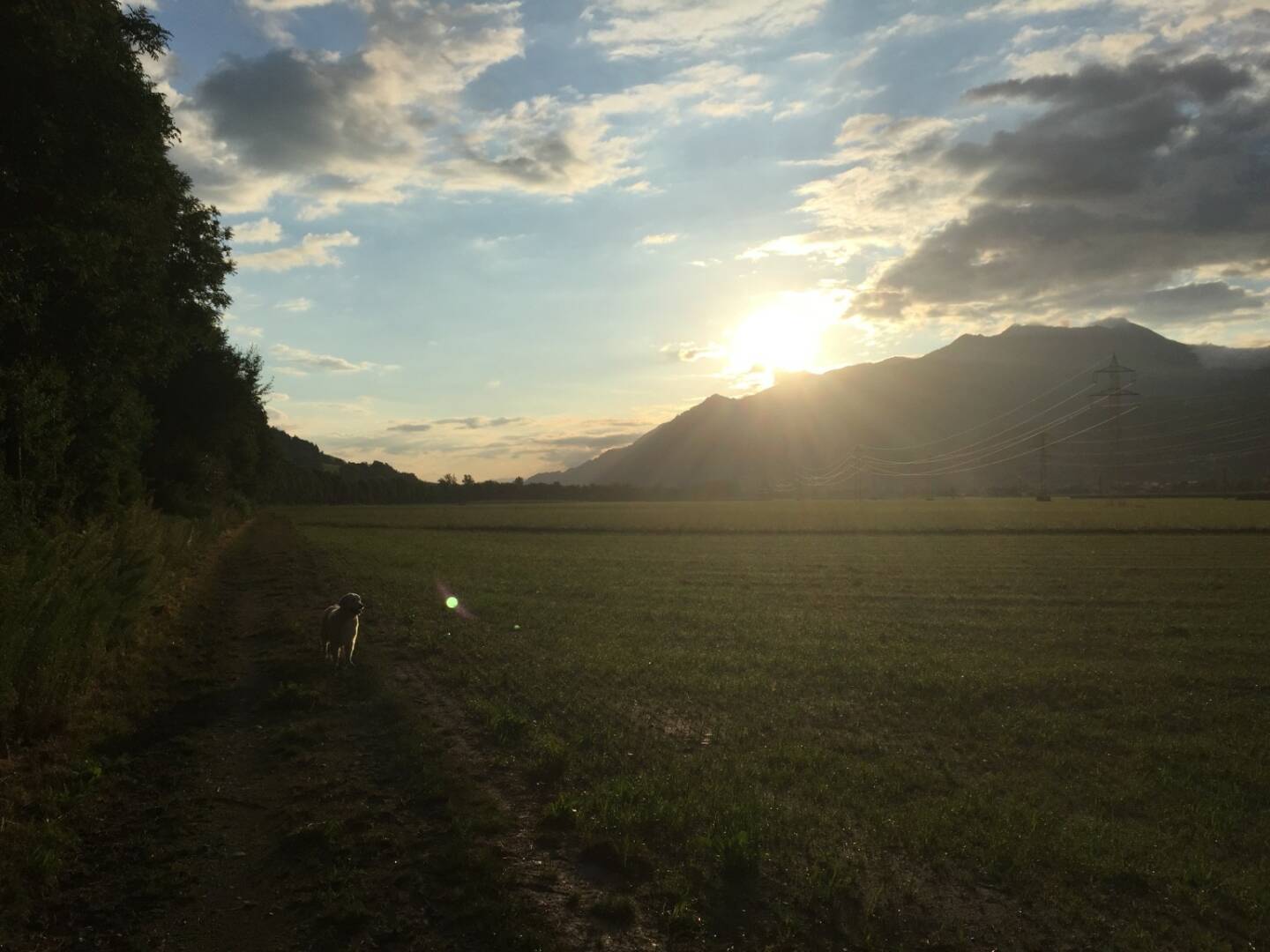 Am Feldweg