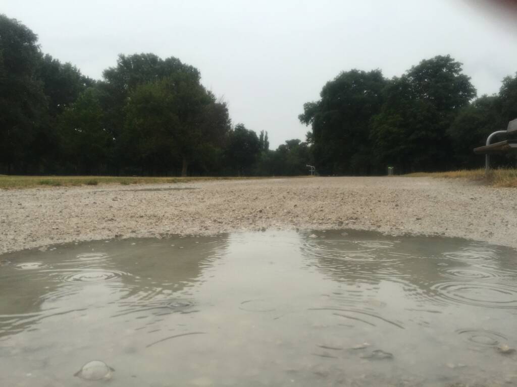 Lacke, Pfütze, Regen (31.07.2015) 