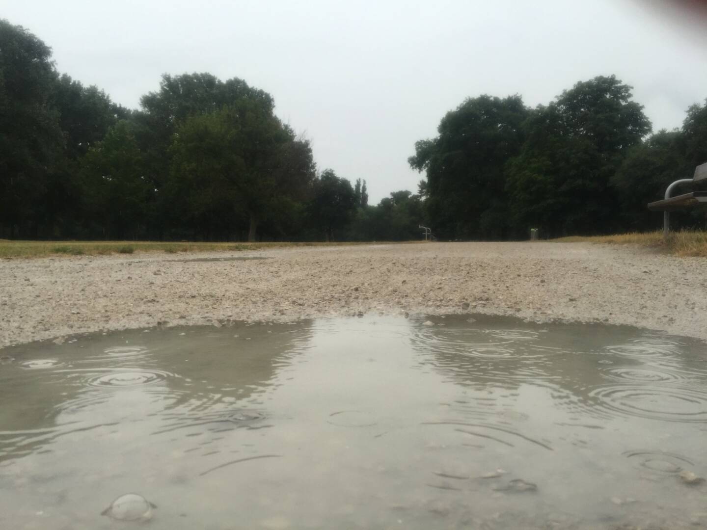 Lacke, Pfütze, Regen