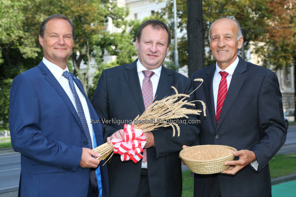 Christian Gessl (AMA, Marktordnungen, Markt- & Preisberichte), Günter Griesmayr (AMA), Franz Stefan Hautzinger (AMA, Fachbeirates für Getreide) : Getreidepressekonferenz 2015 der Agrarmarkt Austria : Fotograf:Ludwig Schedl/Fotocredit:Agrarmarkt Austria/APA-Fotoservice/Schedl, © Aussender (31.07.2015) 