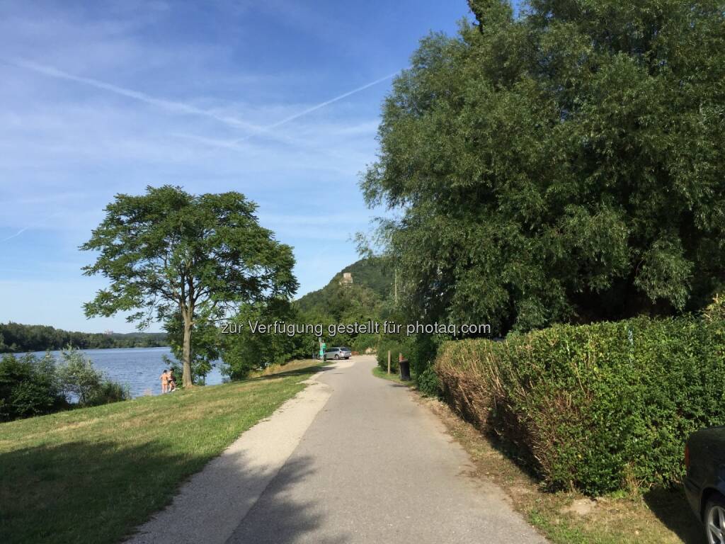Donauradweg, Donau (03.08.2015) 