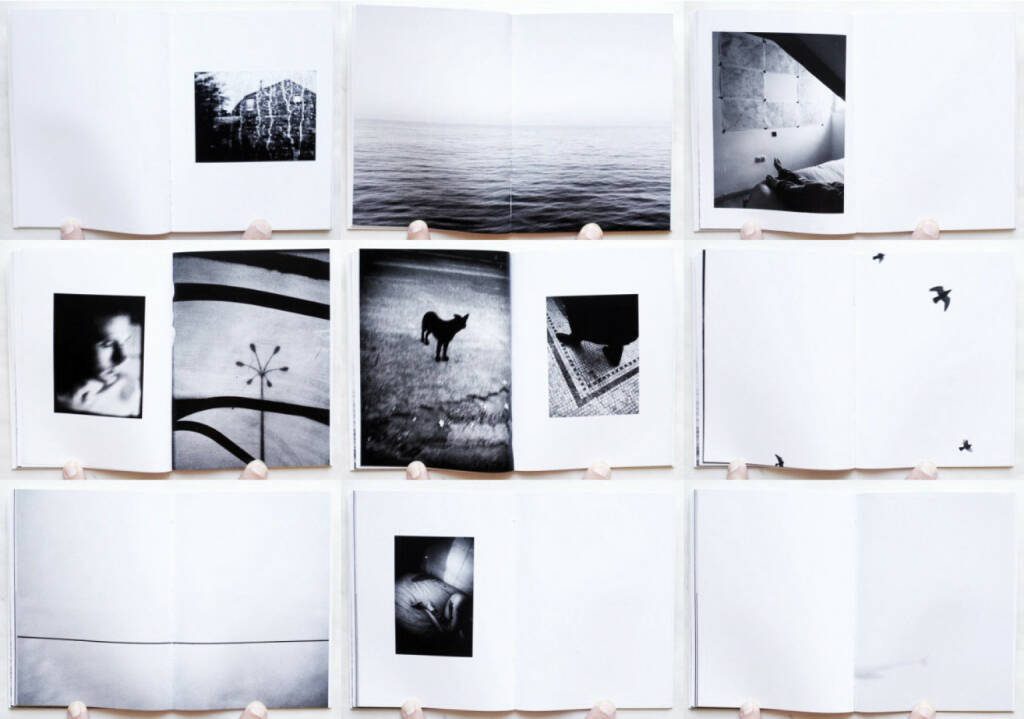 Tomás Quiroga - Apátrida, Ediciones La Visita 2014, Beispielseiten, sample spreads - http://josefchladek.com/book/tomas_quiroga_-_apatrida, © (c) josefchladek.com (10.08.2015) 