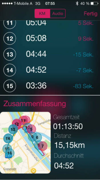 Wien Run (11.08.2015) 