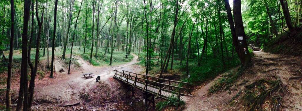 Hagenbachklamm, © Martina Draper (16.08.2015) 