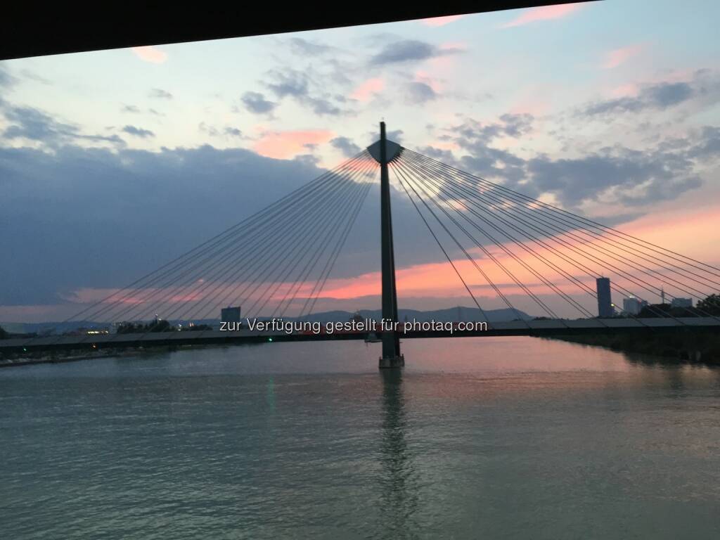 Sonnenuntergang, Schrägseilbrücke (24.08.2015) 