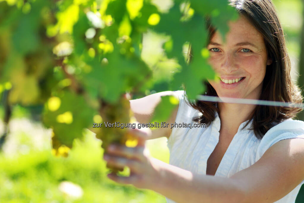 Ingrid Groiss (Weingut Breitenwaida) : 20 Jahre Weinherbst Niederösterreich – ein vinophiler Festreigen voller Genuss und Brauchtum : Wein gehört zu Niederösterreich genauso wie die vielfältigen Landschaften oder die beeindruckenden Kulturgüter : © Fotograf: Franz Weingartner - Fotograf A-3300 Amstetten/Fotocredit: Niederösterreich-Werbung/weinfranz.at, © Aussendung (25.08.2015) 
