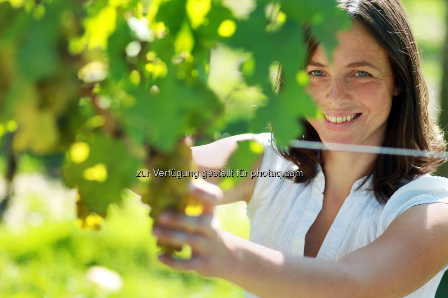 Ingrid Groiss (Weingut Breitenwaida) : 20 Jahre Weinherbst Niederösterreich – ein vinophiler Festreigen voller Genuss und Brauchtum : Wein gehört zu Niederösterreich genauso wie die vielfältigen Landschaften oder die beeindruckenden Kulturgüter : © Fotograf: Franz Weingartner - Fotograf A-3300 Amstetten/Fotocredit: Niederösterreich-Werbung/weinfranz.at