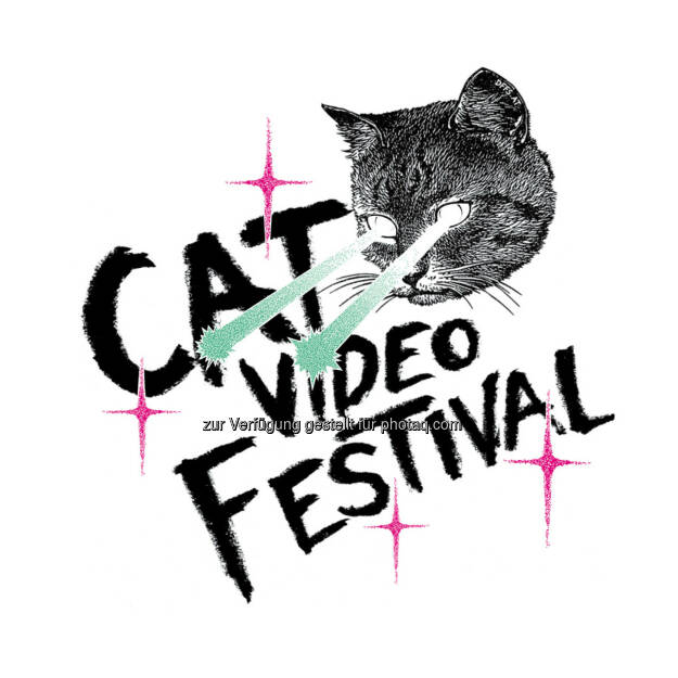 Das neue Sujet für das 3. Cat Video Festival Vienna : Arena Sommerkino 29. August 2015 : Fünfteiliges Filmprogramm mit neuen Katzenvideos und zahlreichen Klassikern - Postkartenwettbewerb, CATwalk und DJs im Rahmenprogramm und Whiskas als neuer Partner : © Fotograf: Benjamin Hammerschick/Fotocredit: VIS/Benjamin Hammerschick, © Aussendung (25.08.2015) 