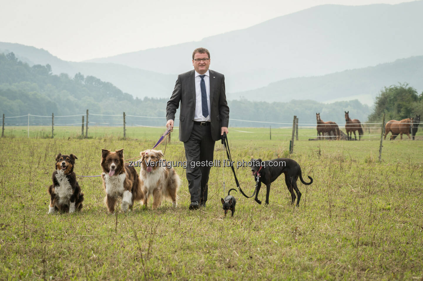 Robert Wasner (Sachversicherungsvorstand Uniqa Österreich) : Die richtige Polizze für Ihren Vierbeiner : Uniqa Österreich : Hundehalterhaftpflicht kann in die Haushaltsversicherung aber auch in die Eigenheimversicherung eingeschlossen werden : © Rudi Froese