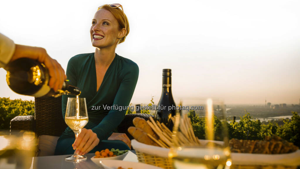 Weinherbst : Reisen zum Wein im Herbst : Weinvielfalt für jede Gelegenheit : Die attraktivsten Routen sind auf diereisezumwein.at zu finden : © ÖWM, © Aussender (26.08.2015) 
