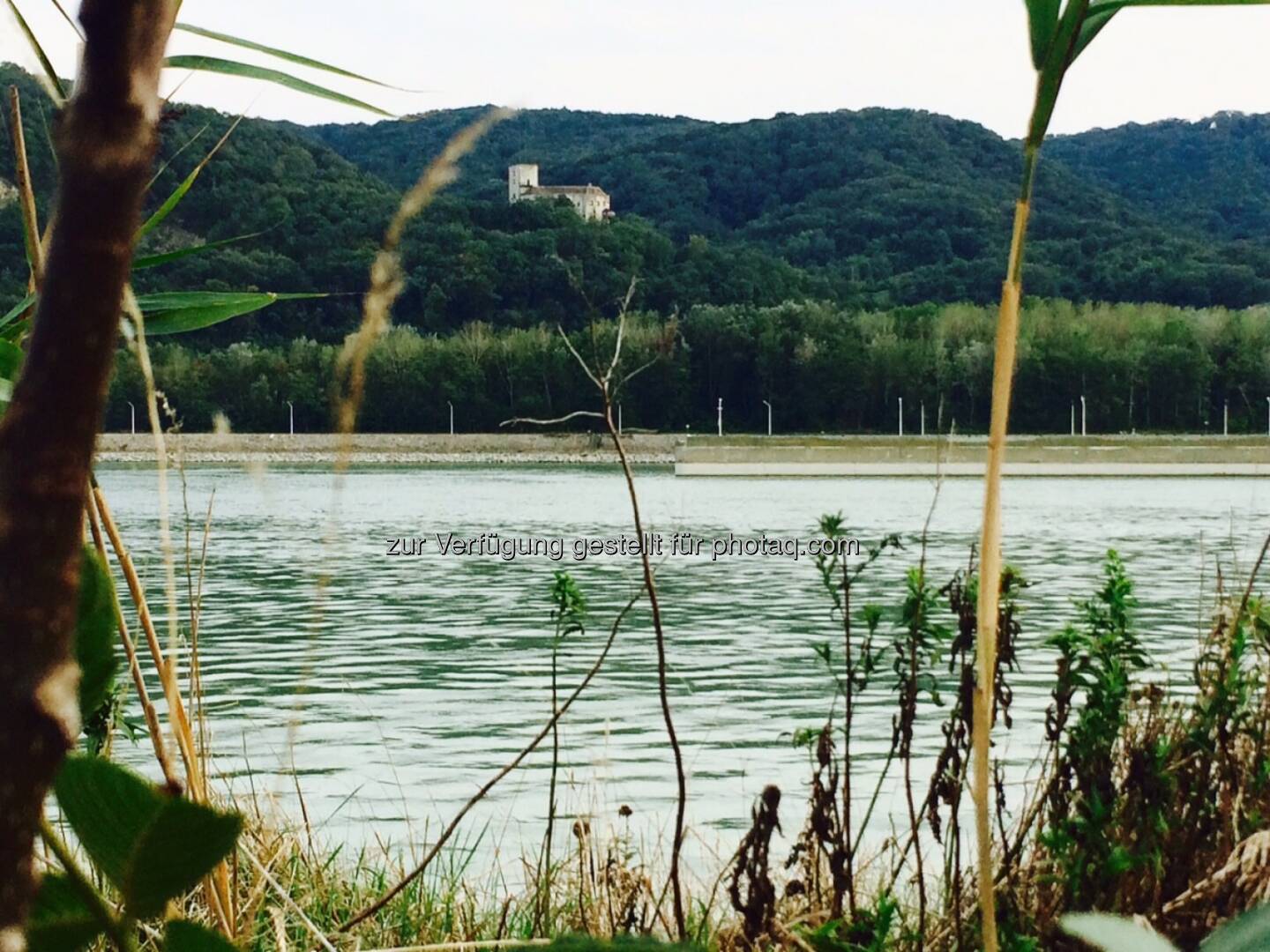 Burg Greifenstein