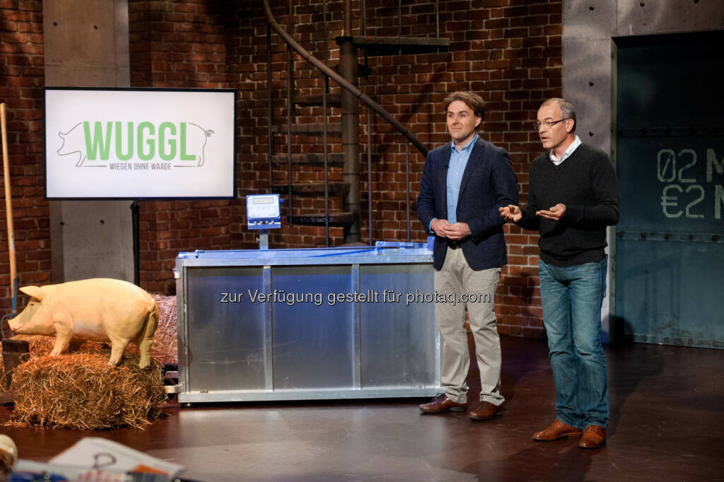 Start-Up-Projekt Wuggl : (c) Nick Albert (08.09.2015) 