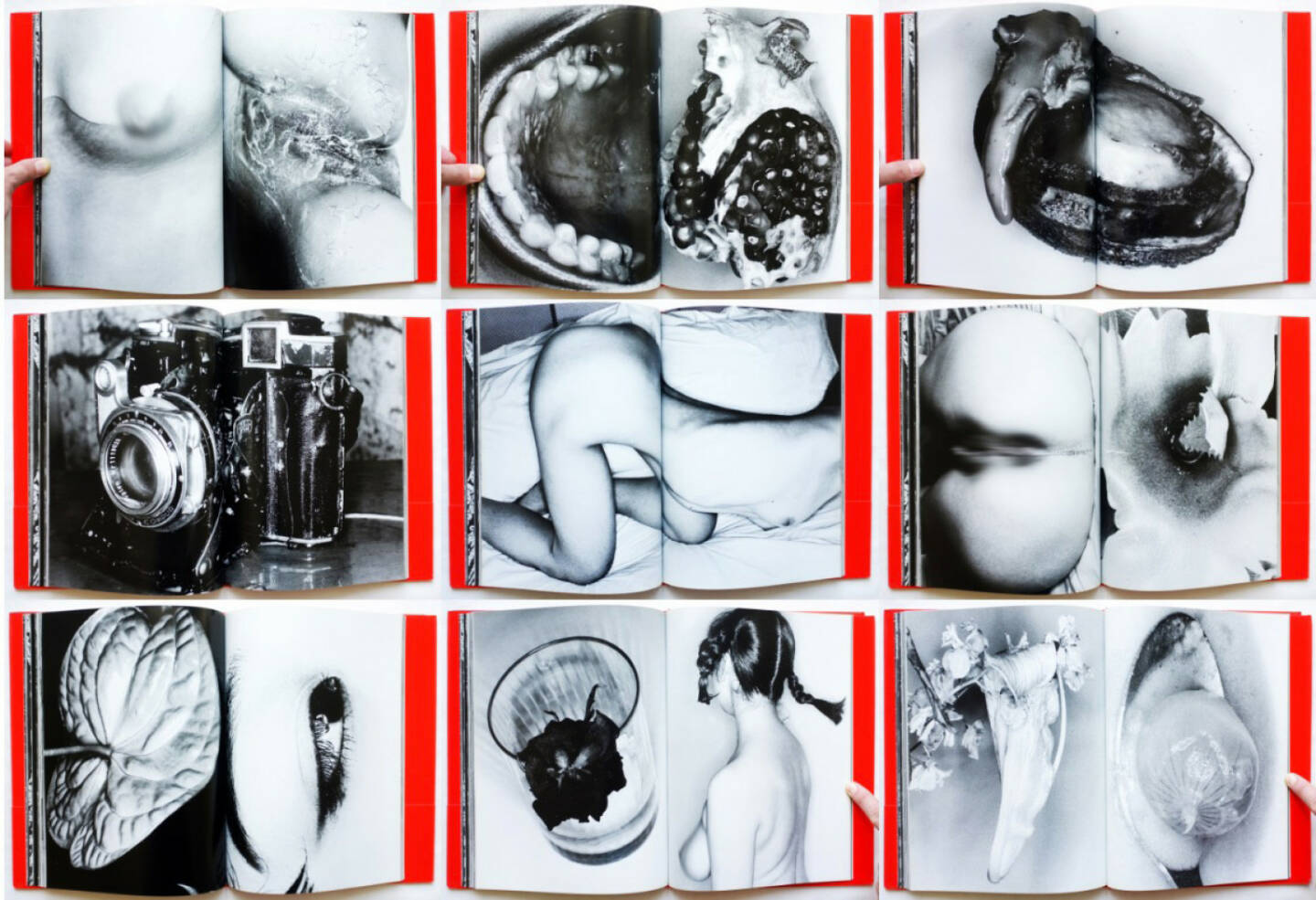 Nobuyoshi Araki - Erotos (荒木経惟 エロトス), Libro Port 1993, Beispielseiten, sample spreads - http://josefchladek.com/book/nobuyoshi_araki_-_erotos_荒木経惟_エロトス