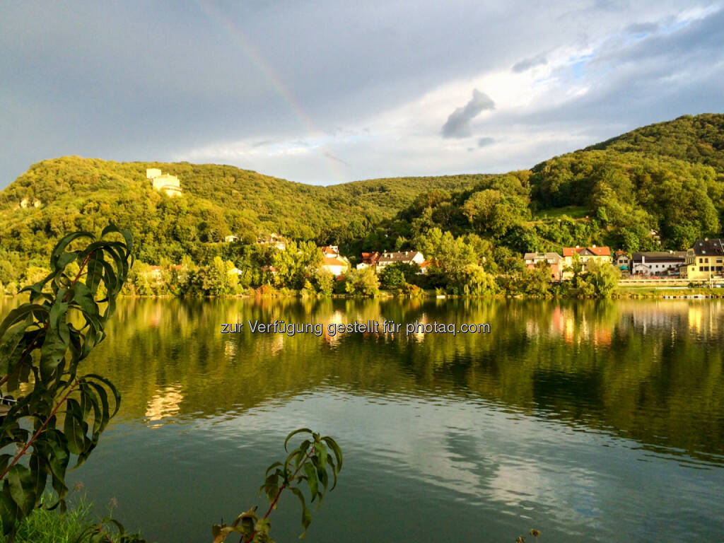 Donaualtarm Greifenstein, Wasser, See, © Martina Draper (19.09.2015) 